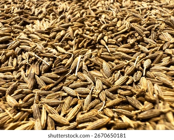 Cumin Seeds
