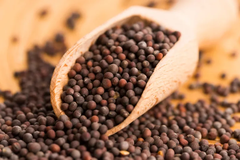 Mustard Seeds