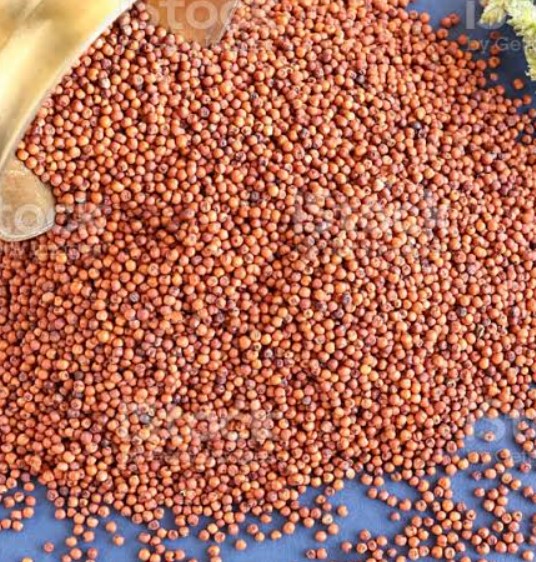 Ragi